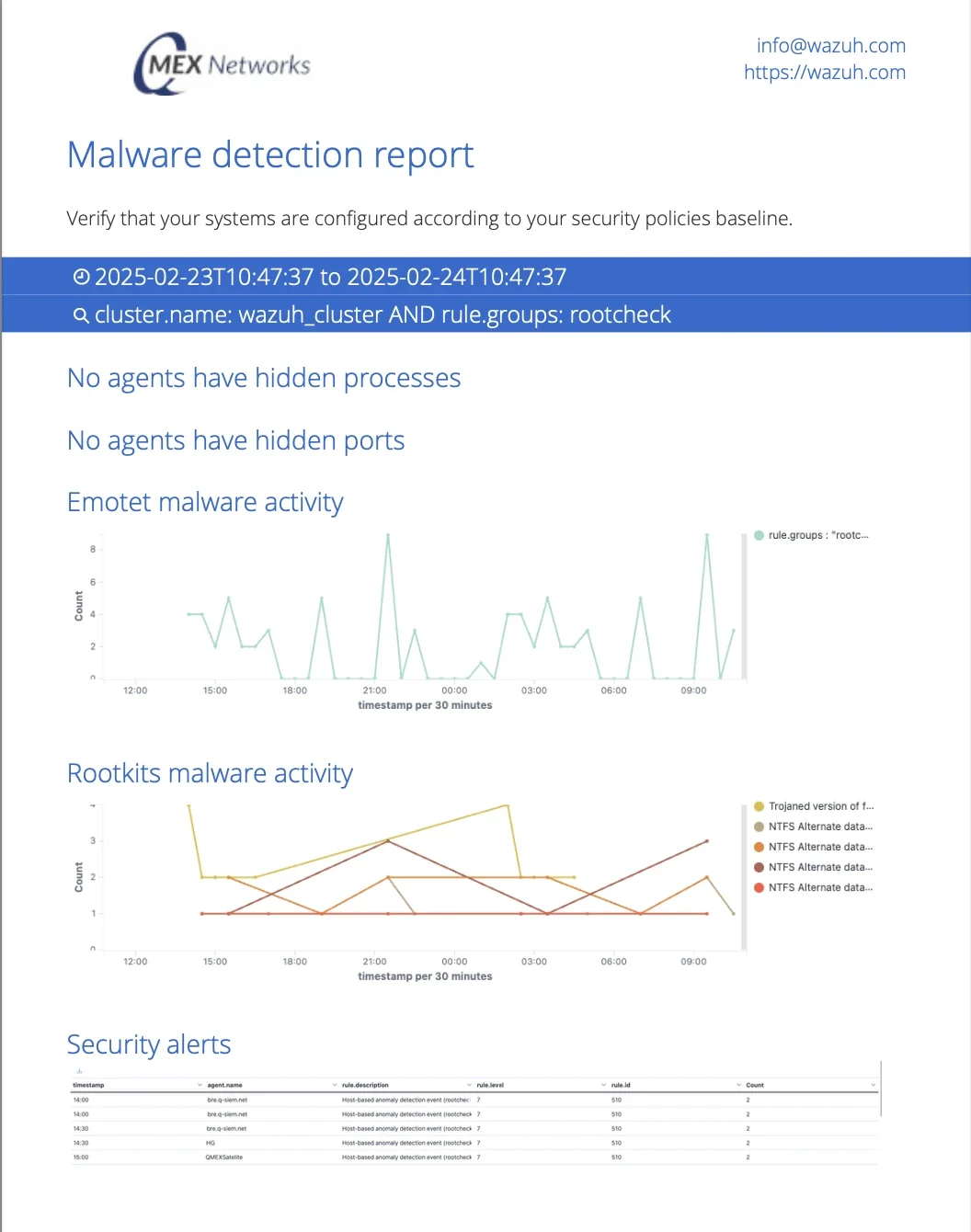 Beispiel des Q-SIEM Malware Detection Reports